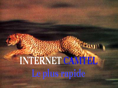INTERNET CAMTEL :Le plus rapide 