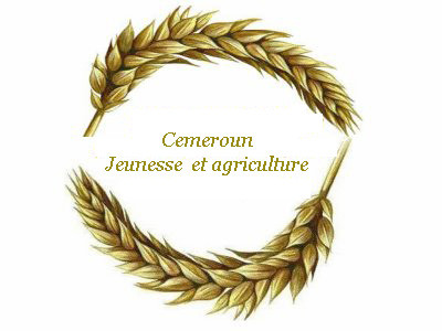 CAMEROUN JEUNESSE ET AGRICULTURE